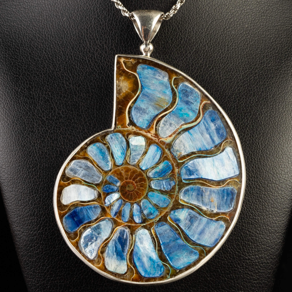 Ammonite Fossile con intarsio in Kyanite